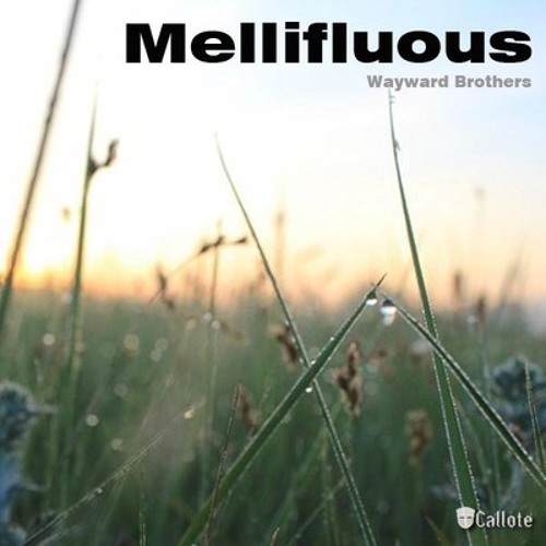 Wayward Brothers - Mellifluous (Original Mix)