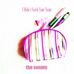 I Didn't Catch Your Name