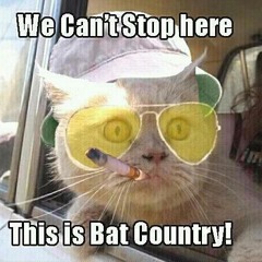 Bat Country edit [FREE DOWNLOAD]