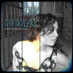 Everything Is Cool (Radio Edit)