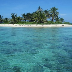 Brookes Brothers - Desert Island (M3 VIP Mix)