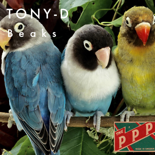 Beaks ( Download in description )