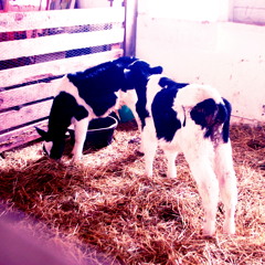 How Did You Get So Mean