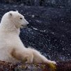 Dope G, MondreMAN, Ra (D Money) - On Dat Dope Shit