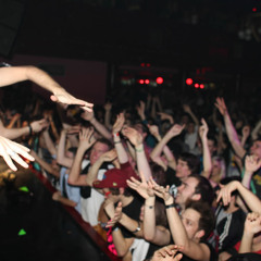 BLOODY BEETROOTS MIX [2012]