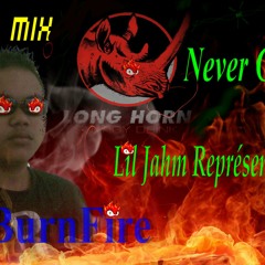 Vodka Redbull Riddim Mixed By Dj BurnFire (BurnFire973Prod)