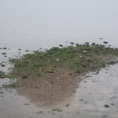 Dj cleo tv - Bhampa side to side (official video).flv