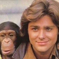 nigga liu kang - minus the bear