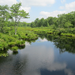 Brand New Day (Joshua Radin Cover)