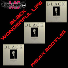 Black - Wonderful Life (DJ RICARDO MS REMIX Bootleg)