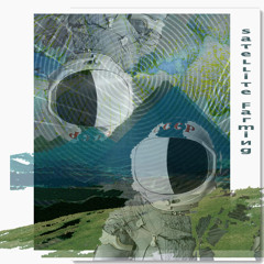 saτeʟʟiτe  ϝaгmiиg - pineptones vs swiʌelized souηds