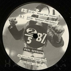 2/5BZ - ŞER EKSENi (Peel Session, 2003)