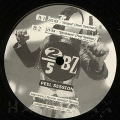 2/5BZ - ŞER EKSENi