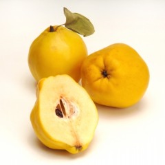 Onur Karaman - Ayva Çiçek Açmış 2012 (Remix)