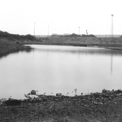 STE-033