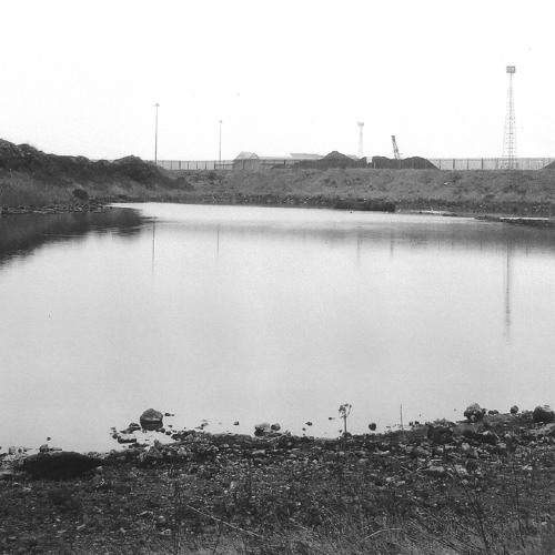 STE-033