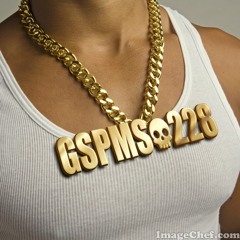 GSPMS228 (LMAFO - Party Rock)