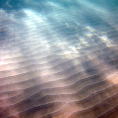 RECOGNIZED 'Sand And The Ocean'