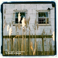 To Build a Home- Cinematic Orchestra (Kunu Edit)