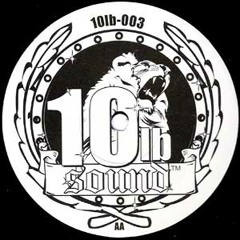 Rhygin - Destroy Dem (10lb-003)