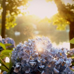 SunSh!ne (Feat. Elias Jahad) [Circa 2010]