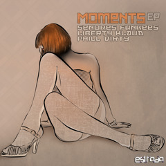 Senores Funkees - Moment (Original Mix)