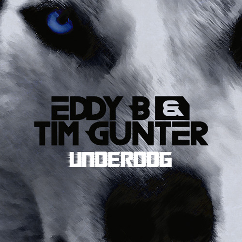 Stream Eddy B & Tim Gunter - Underdog by Eddy B & Tim Gunter | Listen  online for free on SoundCloud