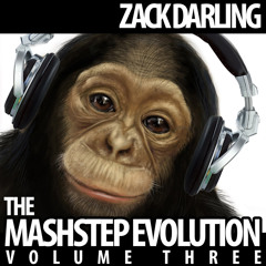 The MashStep Evolution Volume 3