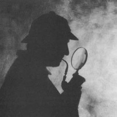 You Could Try feat. Maestro