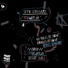 Seth Schwarz - 140 Miles To Lublin (Monkey Safari Remix)