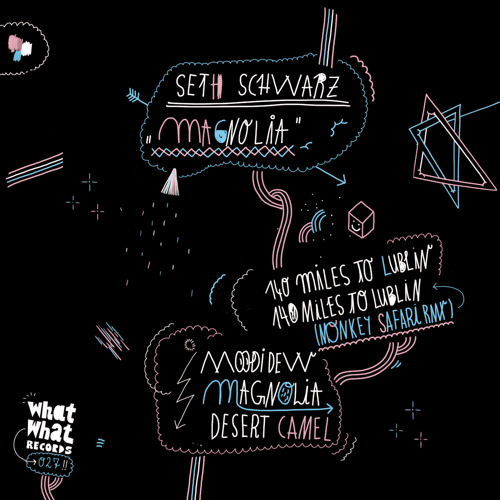 Seth Schwarz - 140 Miles To Lublin (Monkey Safari Remix)
