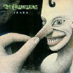 [nWu] The Chameleons - Tears (New Acoustic Version)