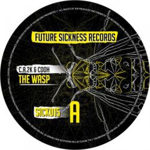 Cooh and C.a.2k -  The wasp