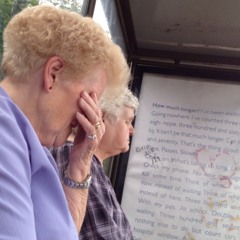 The random chatter of to Scottish woman at the bus stop at Straiton Retail Park