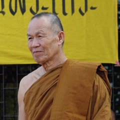 2551 08 16 Wat Pa Ban Koh (After Patimok) (เกิดมาทำไม)
