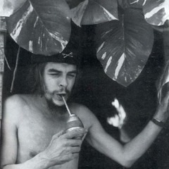 Sniffy Dog - Whispers & Stories