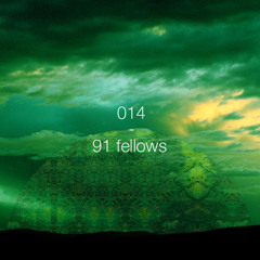 91 Fellows - Terrapin SkyDome