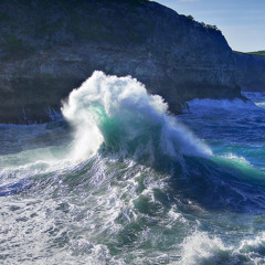 Zombie Tropicana - Hannulerauri