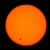 Artwork for Transit of Venus 2012 - Morning Bird Chorus