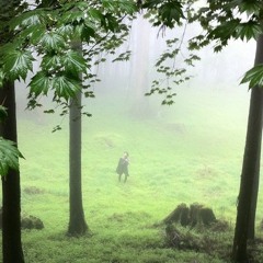 Before sleep, remember.