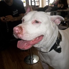 Clad you came the wanted