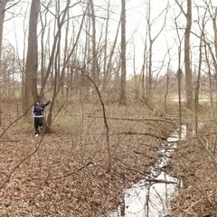 C.O. feat. Benji Nemo - Hunger For More