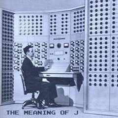 The Meaning of J