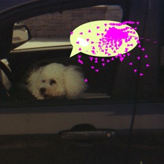 Twenty-Four Sycamores (excerpt)