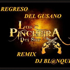 Los Pincheiras Del Sur - El Regreso Del Gusano Remix Dj Bl@nquito 2012
