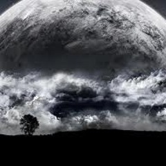 Wrongarda - To The Moon!