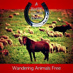 A Horse Called Horse - Wandering Animals Free (sheep in a field mix)