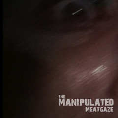 Platypus/Sound of Light