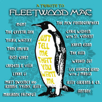 Fleetwood Mac - Silver Springs (Lykke Li Cover)
