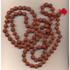 Guru gayatri